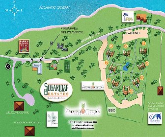 Pineapple Fields Resort Map Layout