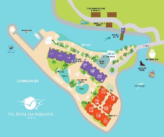 Royal Sea Aquarium Resort Map Layout